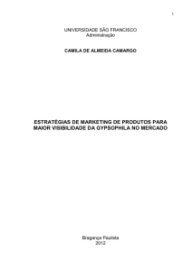 estratégias de marketing de produtos para maior visibilidade