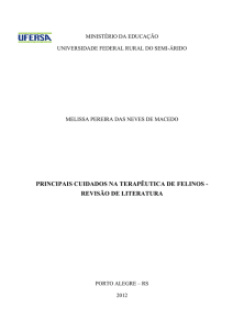 PRINCIPAIS CUIDADOS NA TERAPÊUTICA DE FELINOS