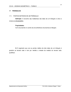 97 17 TRIÂNGULOS 17.1 PONTOS NOTÁVEIS DE UM