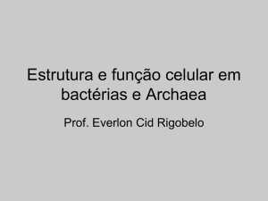 Estrutura e Função celular em bactérias e Archaea