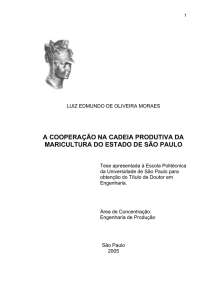 Luis Edmundo de Oliveira Moraes - sistemas