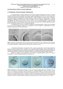 CLONAGEM E CÉLULAS ESTAMINAIS