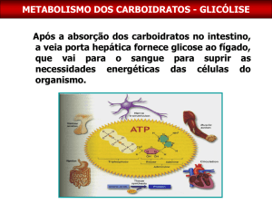 metabolismo dos carboidratos - glicólise