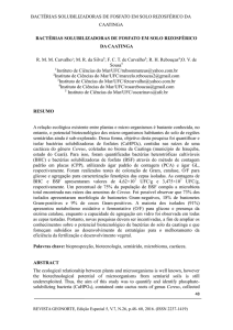 bactérias solubilizadoras de fosfato em solo rizosférico da caatinga
