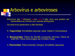 Arbovirus e arboviroses