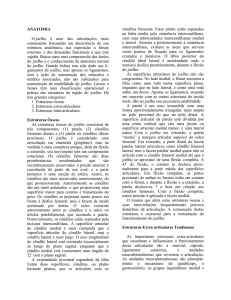 File - Anatomia Medicina UNESA