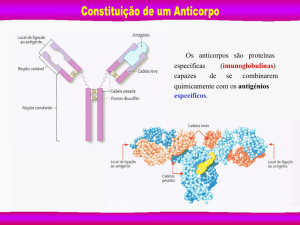 Os anticorpos são proteínas específicas (imunoglobulinas) capazes