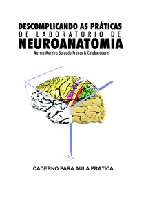C - Bio-Neuro Psicologia PUC-Rio
