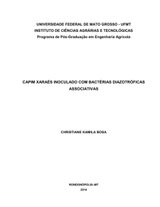 capim xaraés inoculado com bactérias diazotróficas