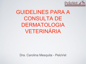 Carolina Mesquita | Médica Veterinária