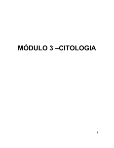 MÓDULO 3 –CITOLOGIA