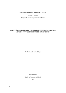 Detecção molecular do vírus da imunodeficiência bovina (biv)