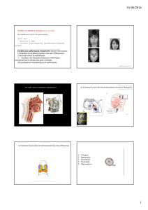 Embriologia Geral - ICB-USP
