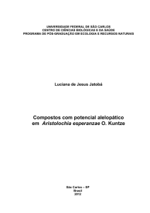 Compostos com potencial alelopático em Aristolochia esperanzae O