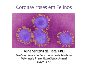 Coronaviroses em felinos domésticos