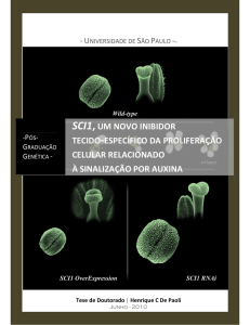 sci1,um novo inibidor tecido-específico da proliferação