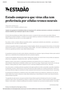 Estudo comprova que v&iacute;rus zika tem prefer&ecirc;ncia por c&eacute;lulas