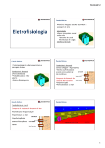 Eletrofisiologia