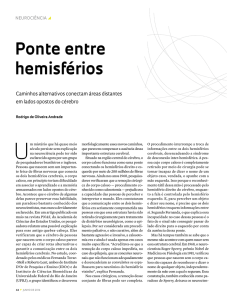 Ponte entre hemisférios - Revista Pesquisa Fapesp