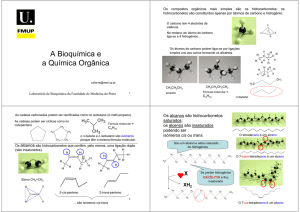A Bioquimica e a Quimica Organica_PPT