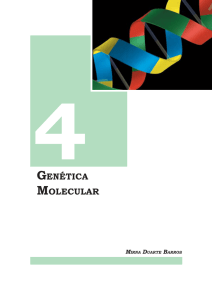 Capítulo 4 GENÉTICA MOLECULAR