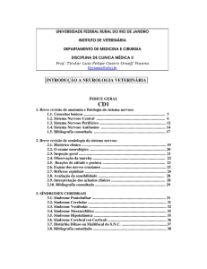 introdu&ccedil;&atilde;o a neurologia veterin&aacute;ria