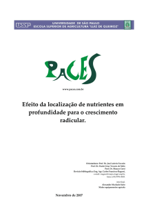 Efeito da localização de nutrientes em profundidade para o