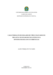 caracterização de isolados de vírus coletados em melancia no