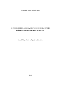 os indicadores agregados na economia: estudo