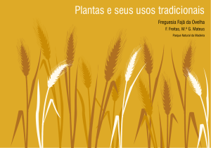 Plantas e seus usos tradicionais