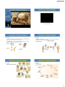 Genética: Biotecnologia Genética: Biotecnologia Genética