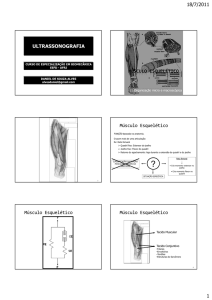 18/7/2011 1 ULTRASSONOGRAFIA MÚSCULO