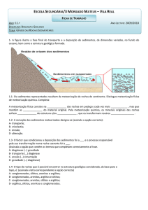 Ficha Génese das Rochas Sedimentares