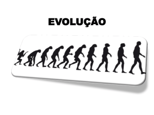 evolução - professoresemrede.com.br
