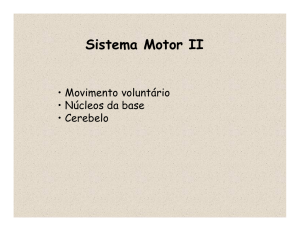Sistema Motor II
