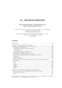 Micronutrientes - Dinâmica, Diagnose e - DCS