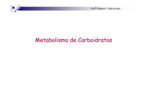 Metabolismo Carboidratos