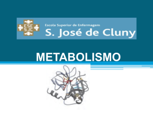 metabolismo - ESESJCluny
