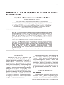 Boraginaceae A. Juss. do Arquipélago de Fernando de Noronha