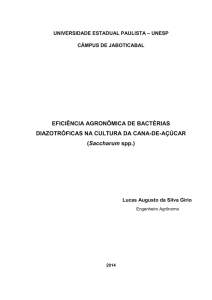 EFICIÊNCIA AGRONÔMICA DE BACTÉRIAS DIAZOTRÓFICAS NA