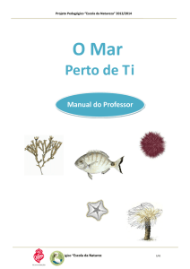 O Mar Perto de Ti