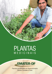 Plantas Medicinais - Emater-DF