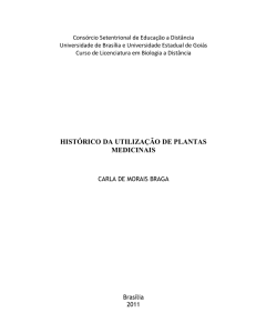 histórico da utilização de plantas medicinais - BDM