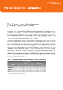 Informe Técnico de Tuberculose