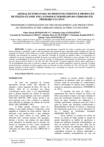 adubação fosfatada no desenvolvimento e produção de feijão