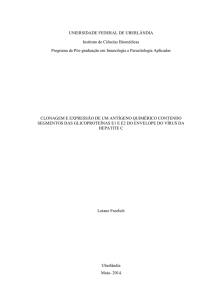 UNIERSIDADE FEDERAL DE UBERLÂNDIA Instituto de Ciências