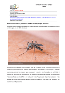 Remédio antimalária pode inibir efeitos da infecção por zika vírus