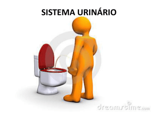 pelo sistema urinário