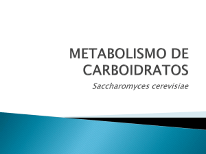 metabolismo de carbono - bioquimicametabolicafatec
