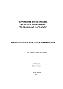 universidade candido mendes instituto a vez do mestre pós